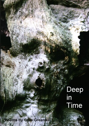 Deep in Time cover picture